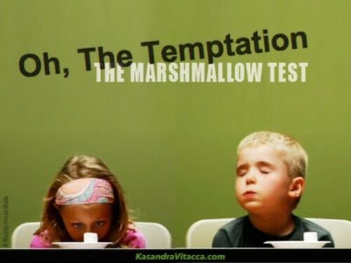 Marshmallow-Test Marshmallow-Test