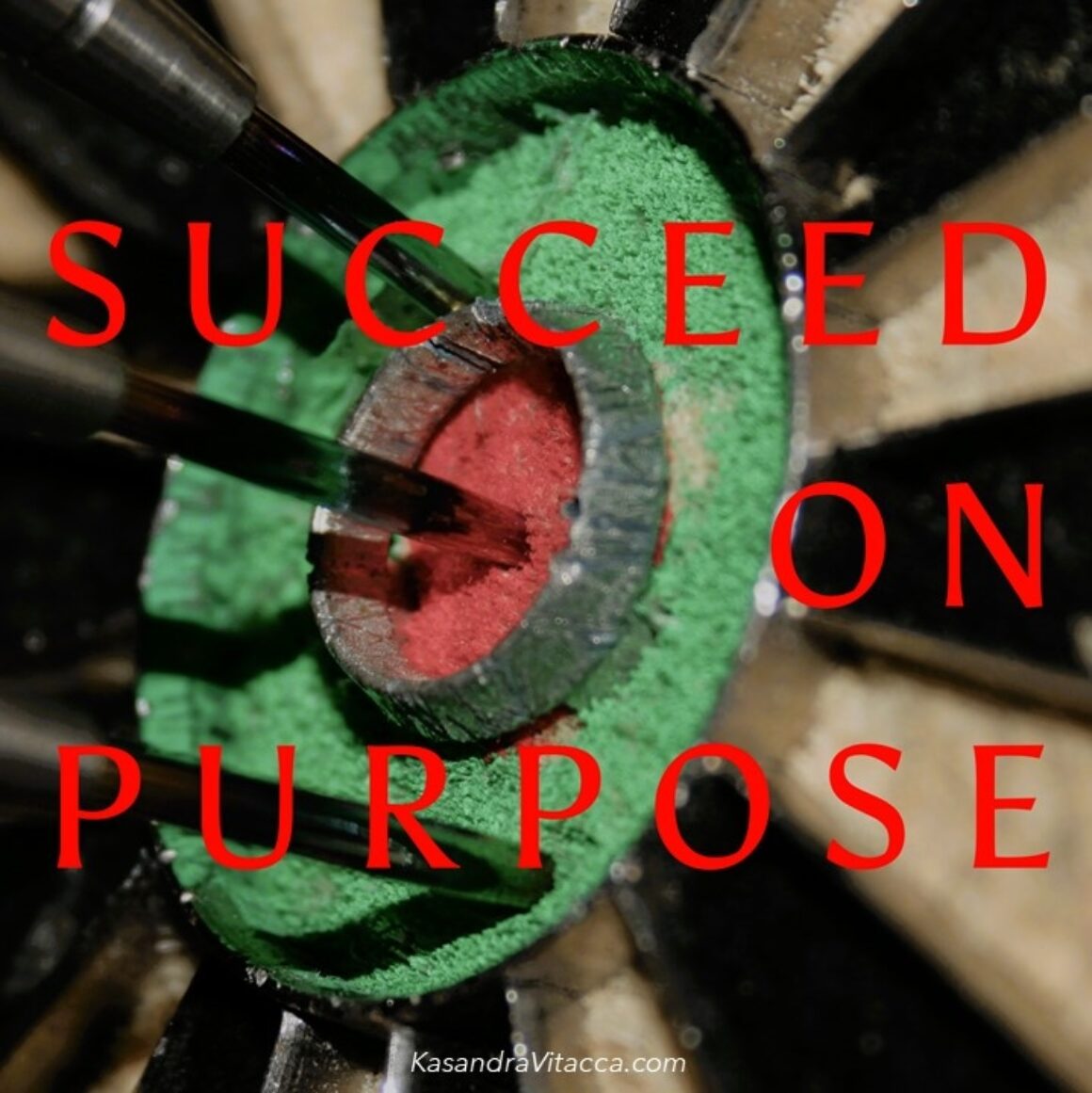 SucceedOnPurpose SucceedOnPurpose